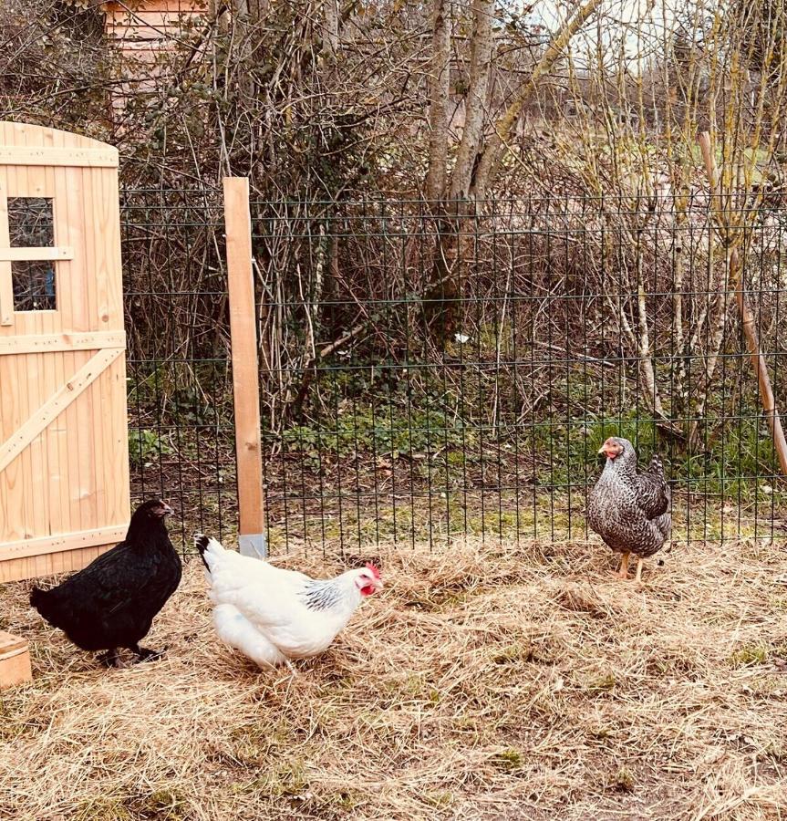 Une Pause S'Impose ;) Méry-sur-Cher Eksteriør billede